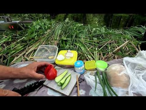 Lonely camping on an island, fishing, hut for spending the night among wildlife ASMR