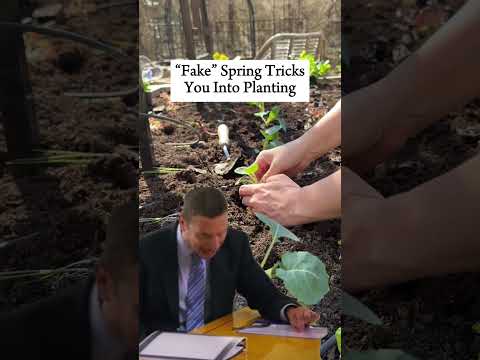 If you’re a gardener, you just know…winter is the worst❄️ #winter #meme #funny #gardener #plantmom