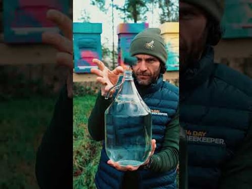 Shorts Tea Herbal Lantern Fly Honey