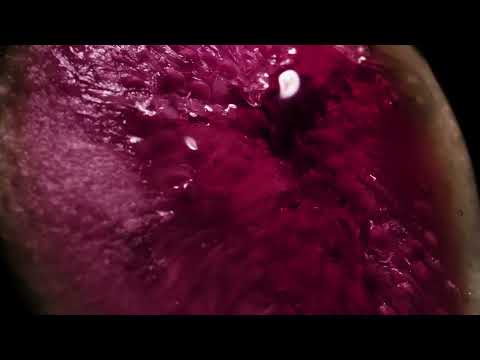 FIGUE EROTIQUE | PRIVATE BLEND | TOM FORD