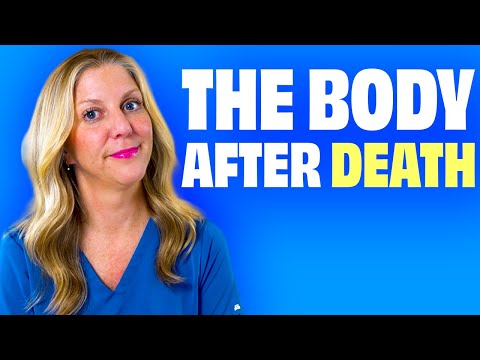 What the Body Goes Through After Death (Step-by-Step)