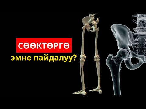 Сөөктөргө эмне пайдалуу? Эмнеге сөөктөр алсырайт?