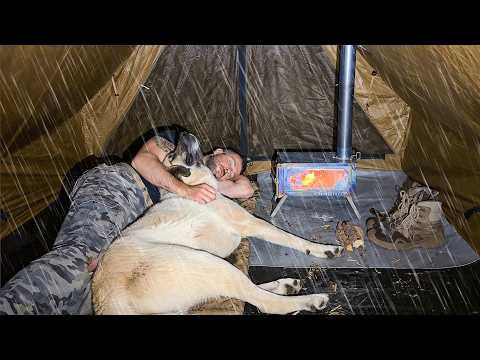 Solo Camping in Heavy Rain with My Dog! - Hot Tent Rain Camping