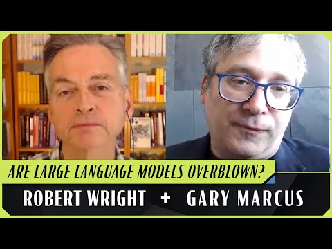Does AI Understand Things? | Robert Wright & Gary Marcus
