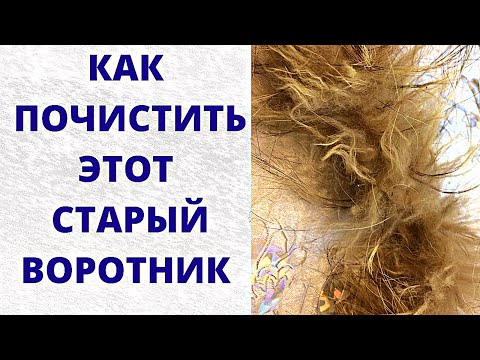 Чем почистить шубу из чернобурки енота лисы песца самостоятельно