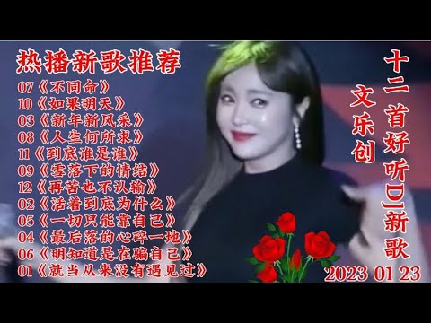 12首好听DJ新歌《雪落下的情结》不同命 如果明天 再苦也不认输