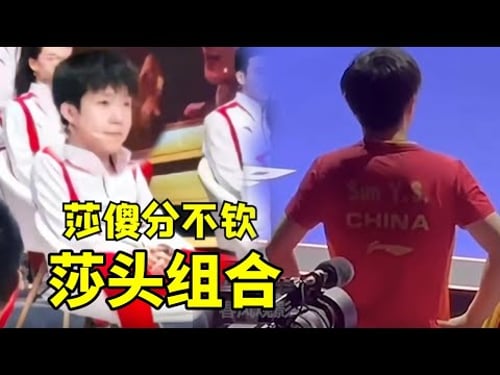 我亲手养的玫瑰自然与我有几分相似,莎头已经到了亲球迷都认不出的程度#王楚钦 #孙颖莎 #国乒