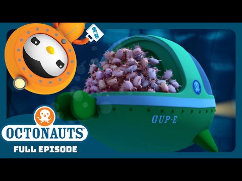 @Octonauts - 🌊 The Sea Pigs Chase 🐷 | Season 3 | Full Episode | Cartoons for Kids