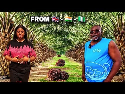 HE LEFT UK AND HIS FACTORY IN INDIA TO BUILD A PALM OIL EMPIRE IN NIGERIA 🇳🇬 | BOSS LEVEL BUSINESS