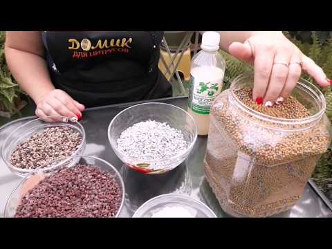 Fertilizers for citrus trees