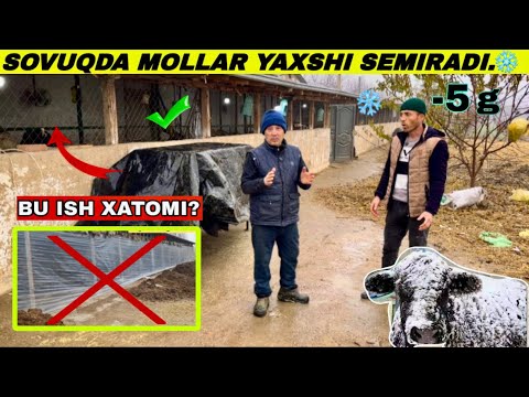 BU XATONI SIZ 90% QILGANSIZ ❗️QISHDA MOLiM KASAL BOLMASIN DEGANLAR KORSIN.