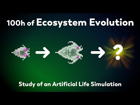 What will happen after 100h of evolution? Study of natural selection in an ecosystem simulator