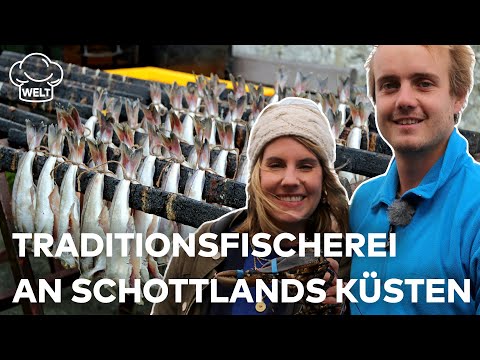 JAGD NACH MEERESFRÜCHTEN: Riskante Traditionsfischerei an Schottlands Küsten | Die Foodtruckerin