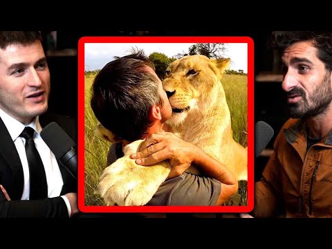 How to communicate with animals | Paul Rosolie and Lex Fridman