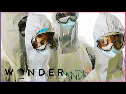 The Deadliest Epidemics In Human History