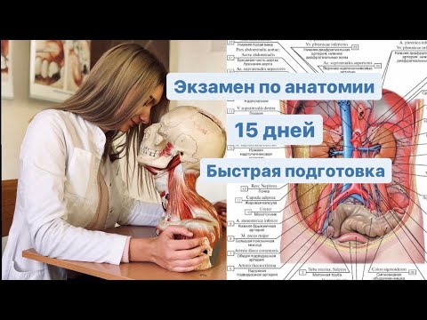 КАК ПОДГОТОВИТЬСЯ К ЭКЗАМЕНУ ПО АНАТОМИИ ЗА 15 ДНЕЙ??// КАК УЧИТЬ, ПО ЧЁМ УЧИТЬ, КАК НЕ СОЙТИ С УМА