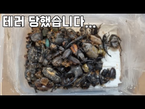 테러 당했습니다...제 짠한 소식을 들은 고등학생에게 연락이 왔는데..고맙습니다..
