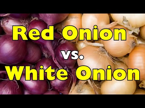 Red Onion vs. White Onion: What’s the REAL Difference?
