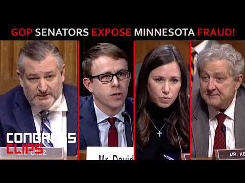 Minnesota Fraud! These are the 3 Most Heated Moments as Senators Grill Witnesses