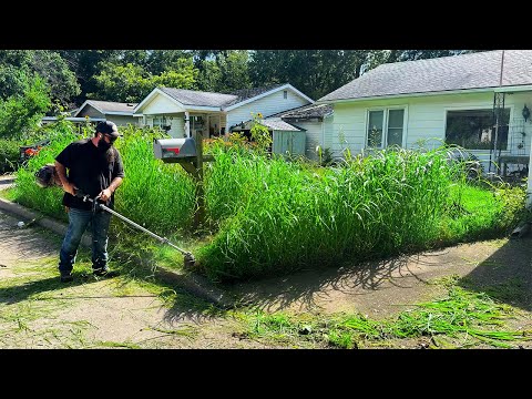 He Found a Stranger Passed Out in His Garage… Then the Yard Took Over
