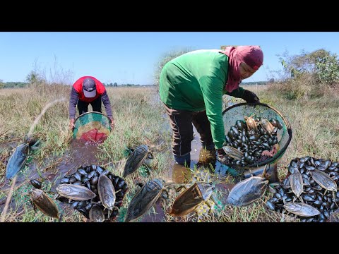 This morning's first round of fishing for horseshoe crabs and water beetles in the pond this year...