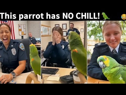 Parrot's SHOCKING Claim to American Citizenship Sparks Outrage