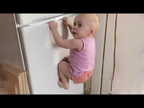 Ultimate Funny Baby Video Compilation – Try Not to Laugh Challenge