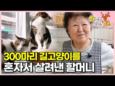 "It's already been 7 years..." The grandmother who rescued and cared for stray cats, 300 of them?...