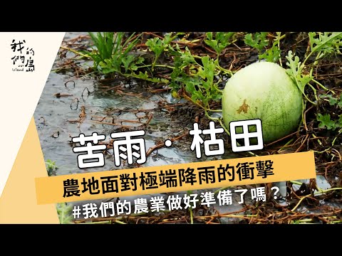 【氣候變遷】苦雨 枯田:農地面對極端降雨的衝擊 (我們的島 1161集 2022-06-20)