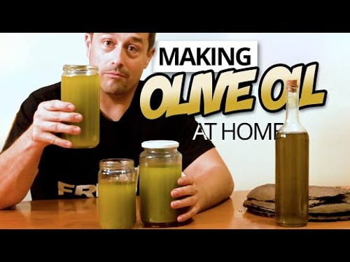 Making Olive Oil at Home from Start to Finish The Full Process - Home Olive Oil production