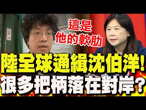 大陸"全球通緝"沈伯洋!李永萍曝他"有很多把柄落在對岸":這是他的軟肋