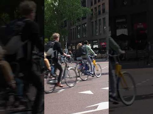 The World's Busiest Street... for Bicycles?!