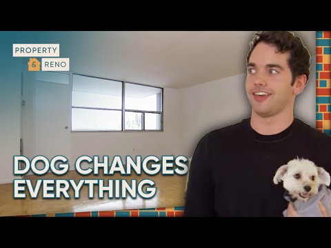 Actor Forced to Choose Between Dog and Dream Apt | For Rent