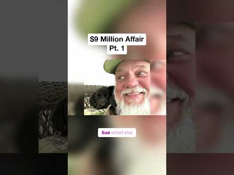 A $9 Million Affair! Pt. 1 😱 #shorts