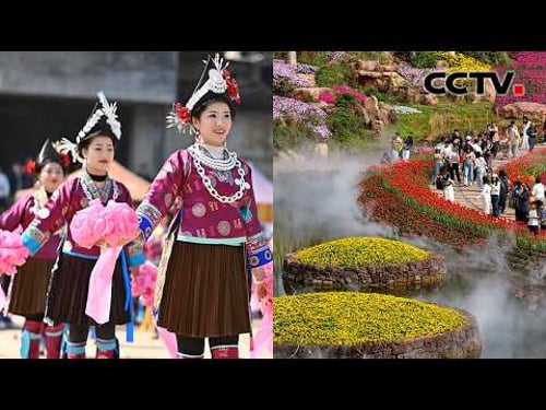 广西新春活动趣味多,壮乡年味迎客来!马年说马 昭陵六骏:石刻上的“顶级战马” | CCTV「正月里来是新春」20260220