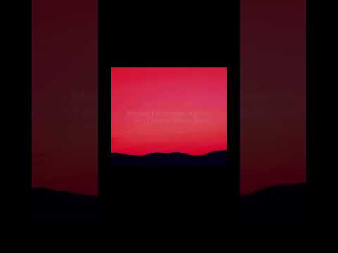 LIKE HIM!!π΅πΆ #tylerthecreator #fyp #viral #likehim οΏΌ#chromokopia