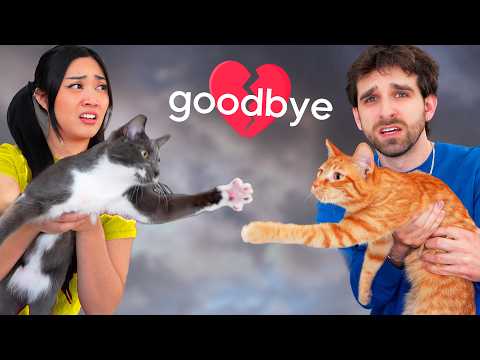 I Had To SEPARATE My Cats FOREVER (sad...)