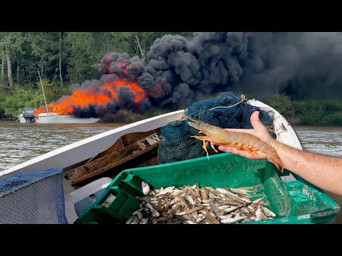 When a Normal Day Turns Tragic in a Hurry! (Wild Shrimp Catch & Cook)