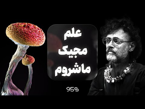 بررسی علمی مجیک ماشروم (سیلوسایبین)