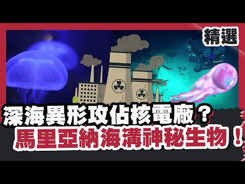 深海異形攻佔核電廠?潛入馬里亞納海溝驚見神秘生物 海底起源謎團曝光!【#HOT話題大串燒】#馬里亞納海溝#異形#海底起源#謎團#神秘生物