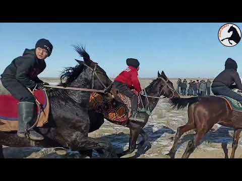 25 01 2024 Шахаманда байге Парахат келин той