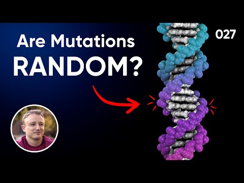 Are Mutations Random Or Do Cells Control Their Evolution?