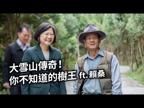 大雪山傳奇!你不知道的樹王 ft.賴桑