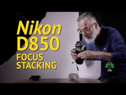 Nikon D850 Focus Stacking Explained - Viilage Review