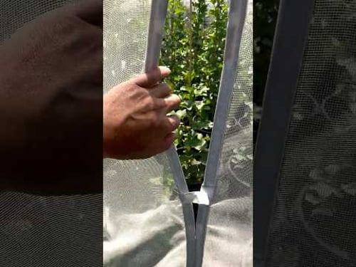 Umami Garden 2025 Preview #japan #garden #gardening #fruit #japanesefood #umamigarden