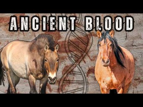 I Tested a Wild Mustang's DNA (Shocking Results!)