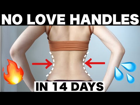 Love Handle Workout | 8 min Abs & Obliques Burn Standing Abs Workout