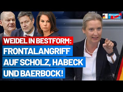 Alice Weidel rechnet mit den Deutschland-Hassern von der Regierung ab! - AfD-Fraktion im Bundestag