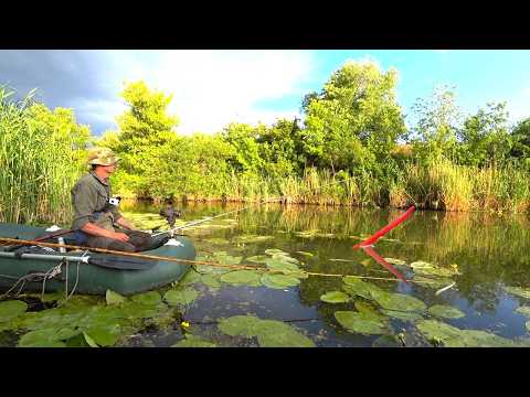 В ДИКИХ МЕСТАХ - КРУПНОЕ ТОПИТ ПОПЛАВОК!! Рыбалка на карася летом