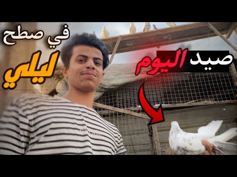 صيد اليوم 🥸بصطح صديقي ليلي 🔥 جناي شعوله 😄صدنه طير غريب عجيب 😂